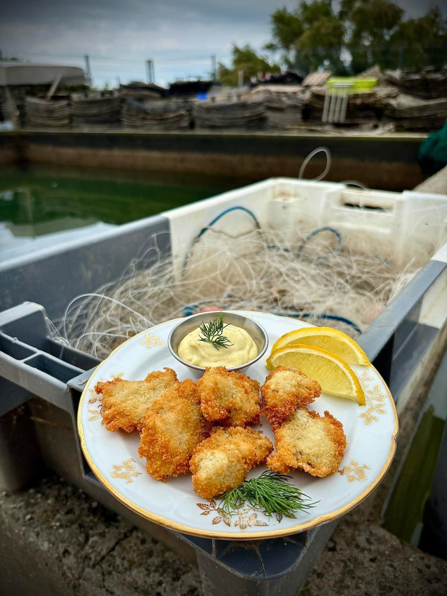 Huîtres panées, sauce maison et citron