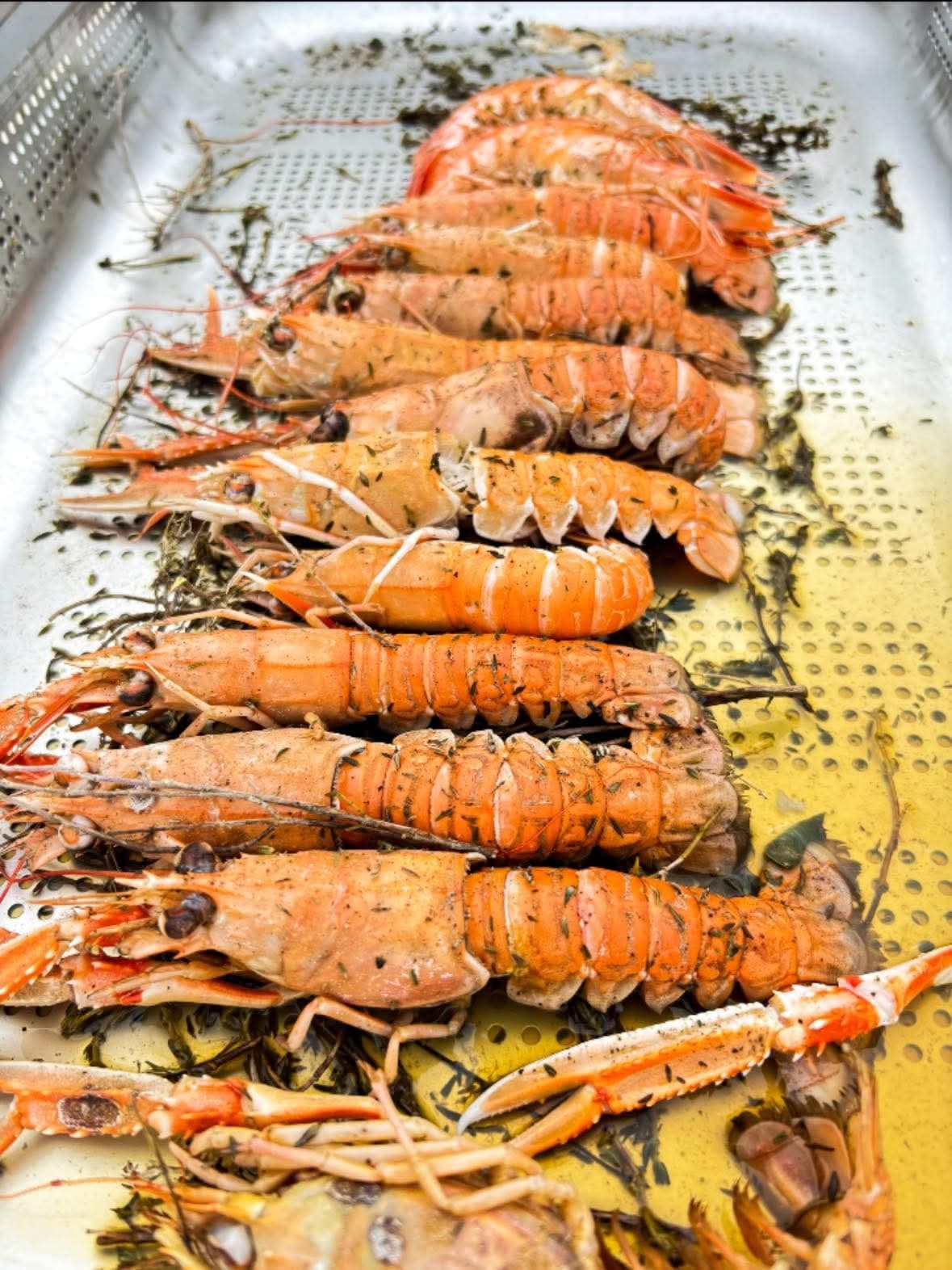 Langoustines fraîches au thym